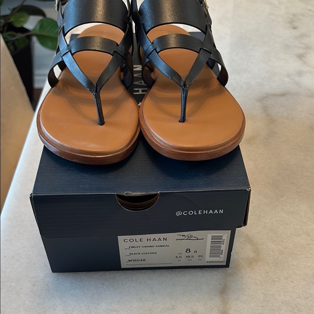 Cole Haan Black and Tan Leather Sandals